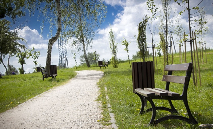 Park-Miejski-Swiecie-6.jpg