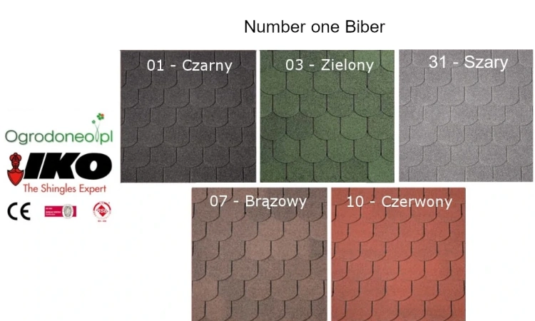 kolory z logo Z NAZWĄ.webp