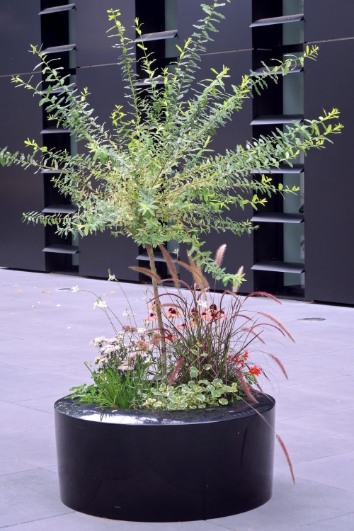 duża donica KAMA Olib.JPG