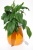 flower-pot-KAMA-Silba-M-orange.jpg