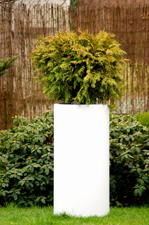 garden-pot-KAMA-Tube80.JPG