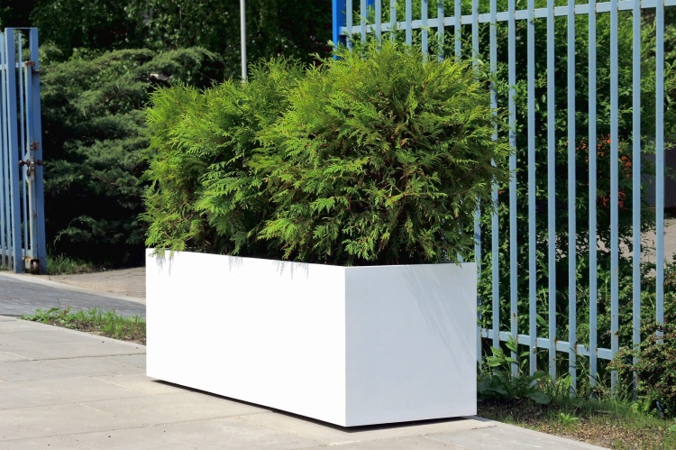 garden-pots-KAMA.JPG