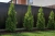 oslona-panelowa-ciemny-braz-rd02-realizacja.webp